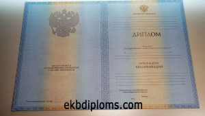 Диплом специалиста 2009-2011 года